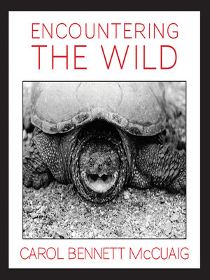 cover image of Encountering the Wild